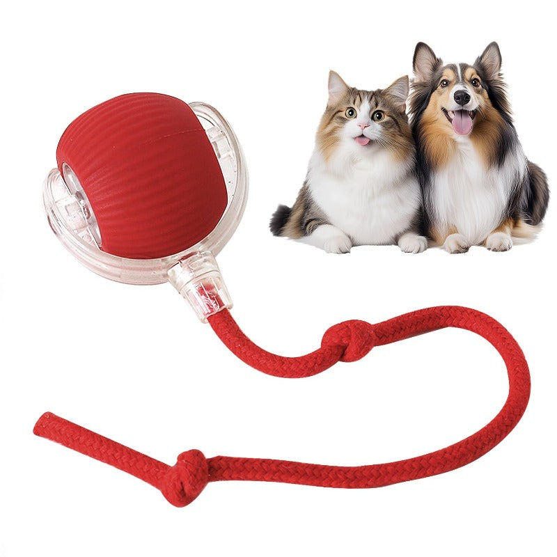Yopoll interactive pet toy ball