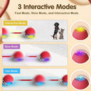 Yopoll interactive pet toy ball