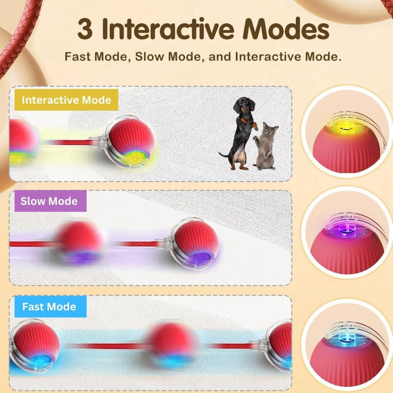 Yopoll interactive pet toy ball
