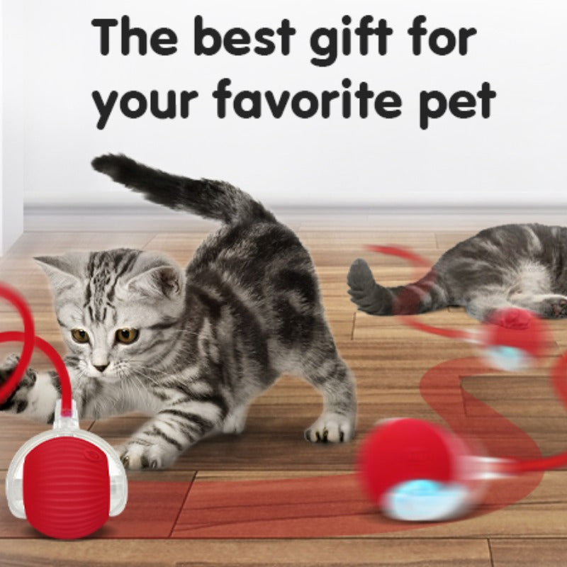 Yopoll interactive pet toy ball