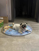 Woyun Ocean Breeze Splash Land Refreshing Water Pillow