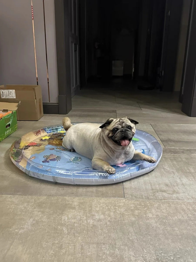 Woyun Ocean Breeze Splash Land Refreshing Water Pillow