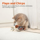 YoPoll Interactive Chirping Bird Cat Toy